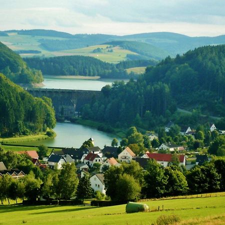 Ferienwohnung Komfort-Fewo Gluecksgriff Mit Garten Willingen  Exterior foto