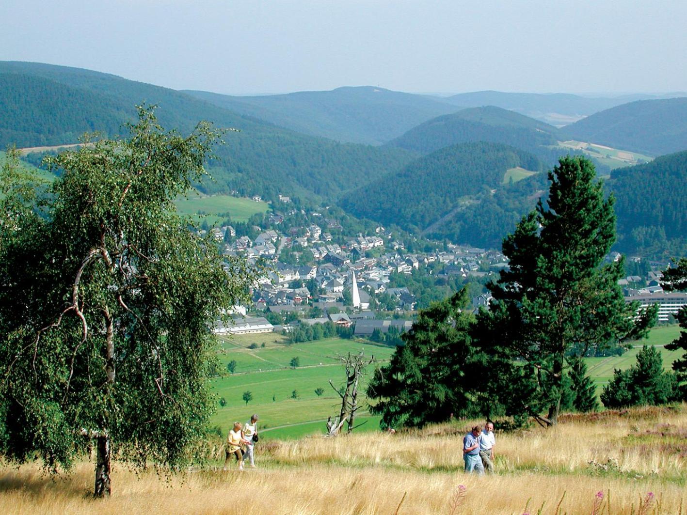 Ferienwohnung Komfort-Fewo Gluecksgriff Mit Garten Willingen  Exterior foto