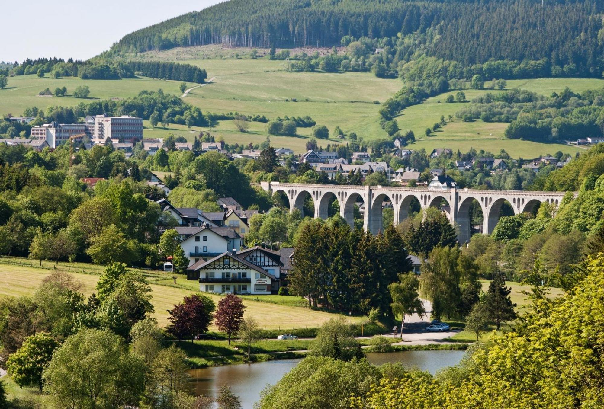 Ferienwohnung Komfort-Fewo Gluecksgriff Mit Garten Willingen  Exterior foto